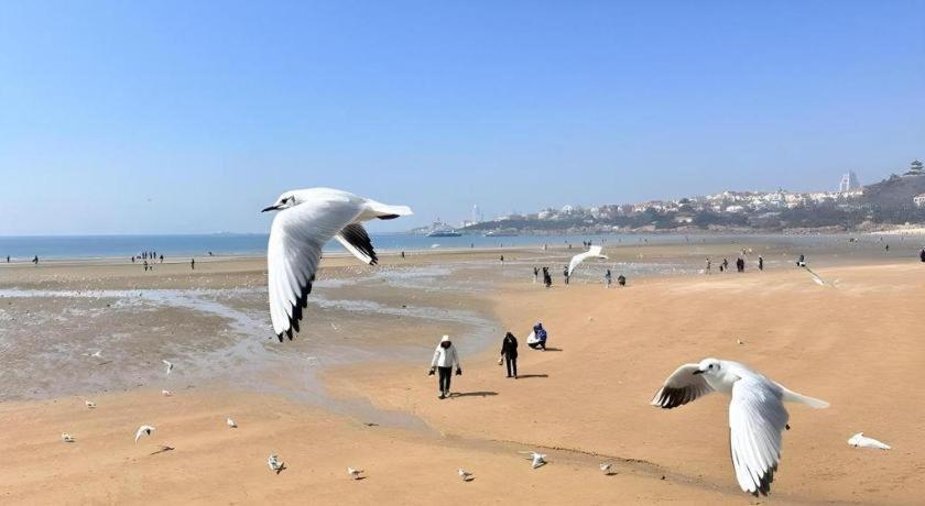 Grand Madison Qingdao Harbour-View Central（Former Qingdao Farglory Hotel） Buitenkant foto